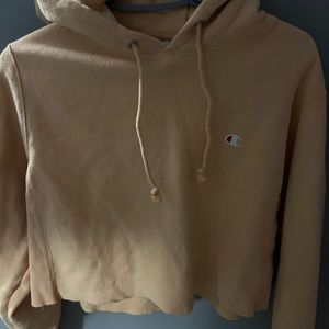 Champion hoodie